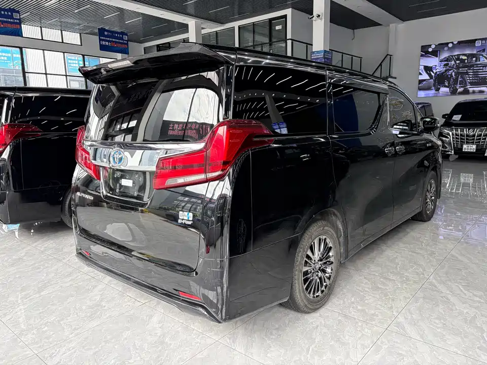Toyota Elfa