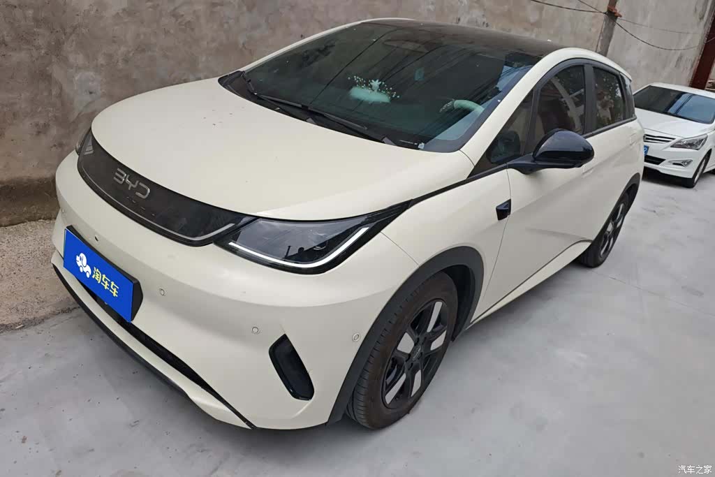 BYD Dolphin, 2025 1