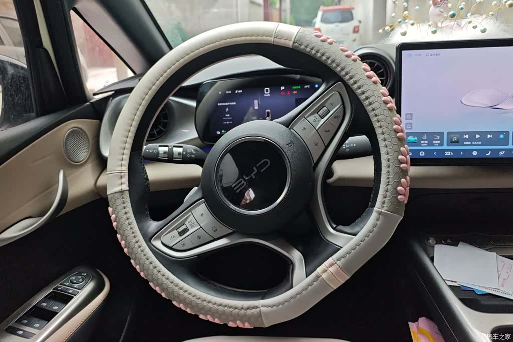 BYD Dolphin, 2025 15