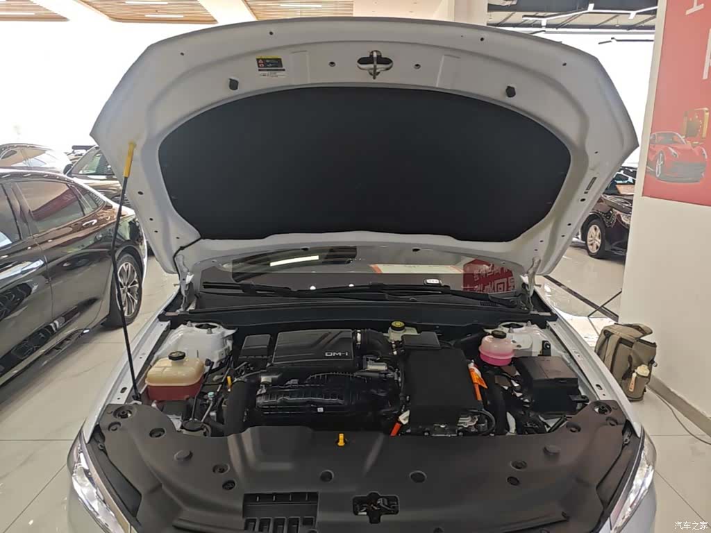 BYD Qin, 2024 20