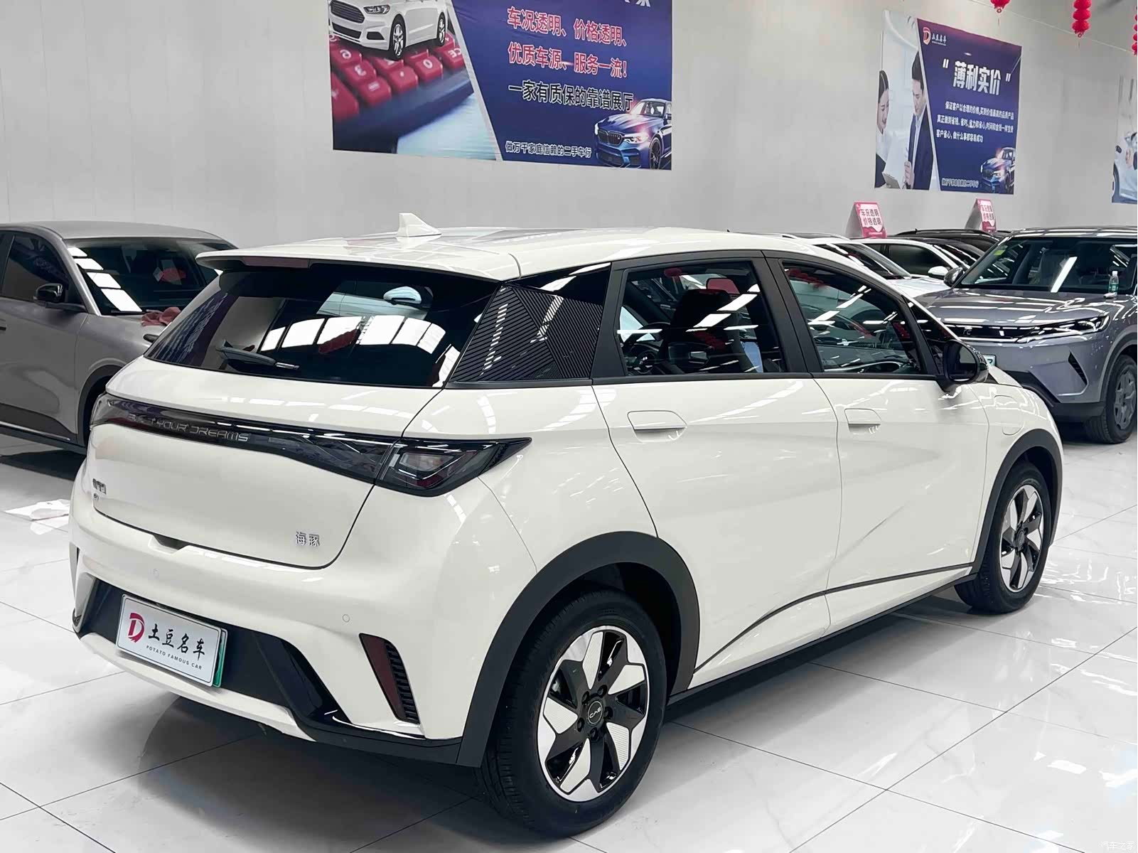 BYD Dolphin, 2026 6