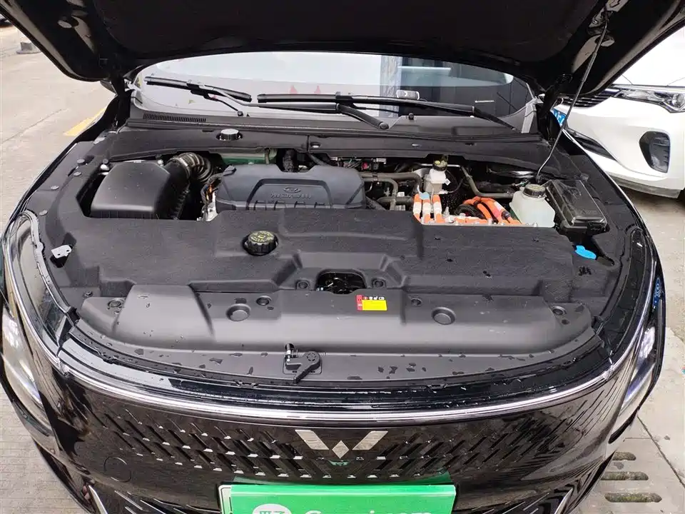 Wuling Wuling Starlight