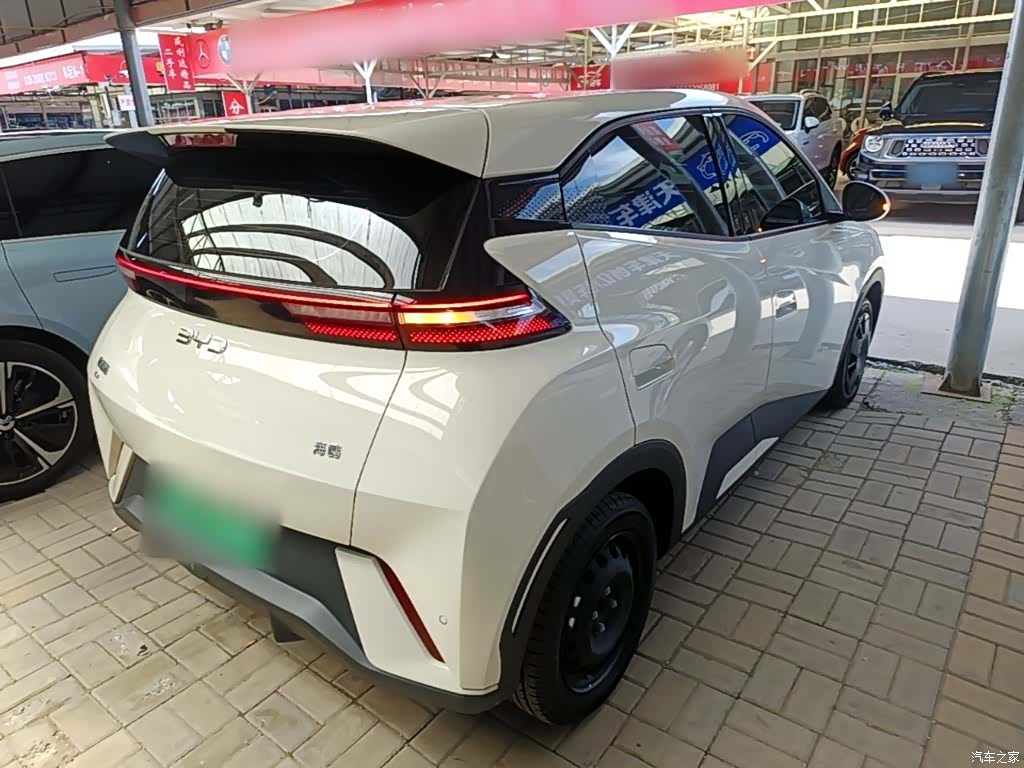 BYD Seagull, 2024 7
