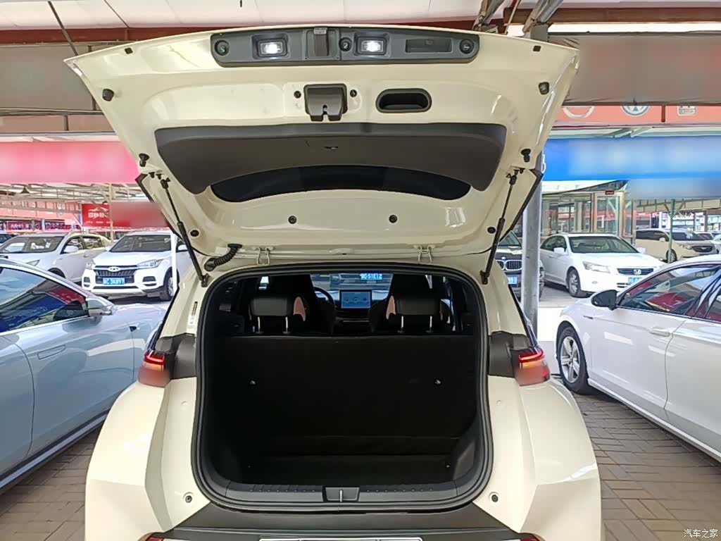 BYD Seagull, 2024 19