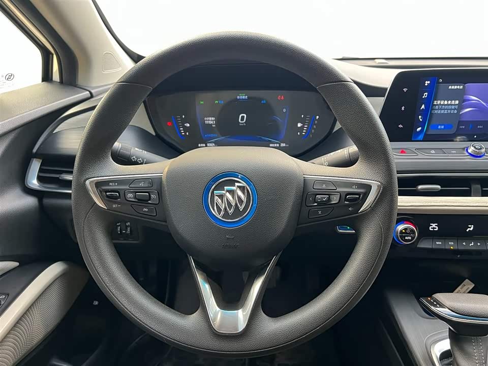 Buick Slightly blue 6