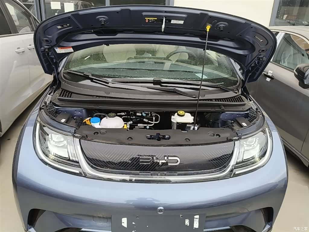 BYD Dolphin, 2026 20