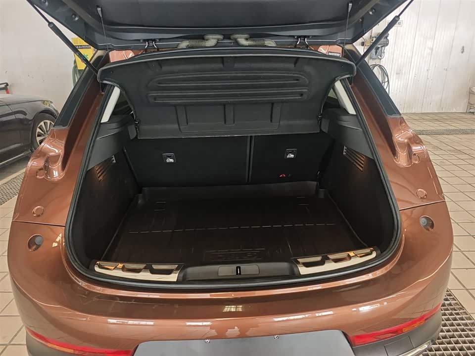 DS 6