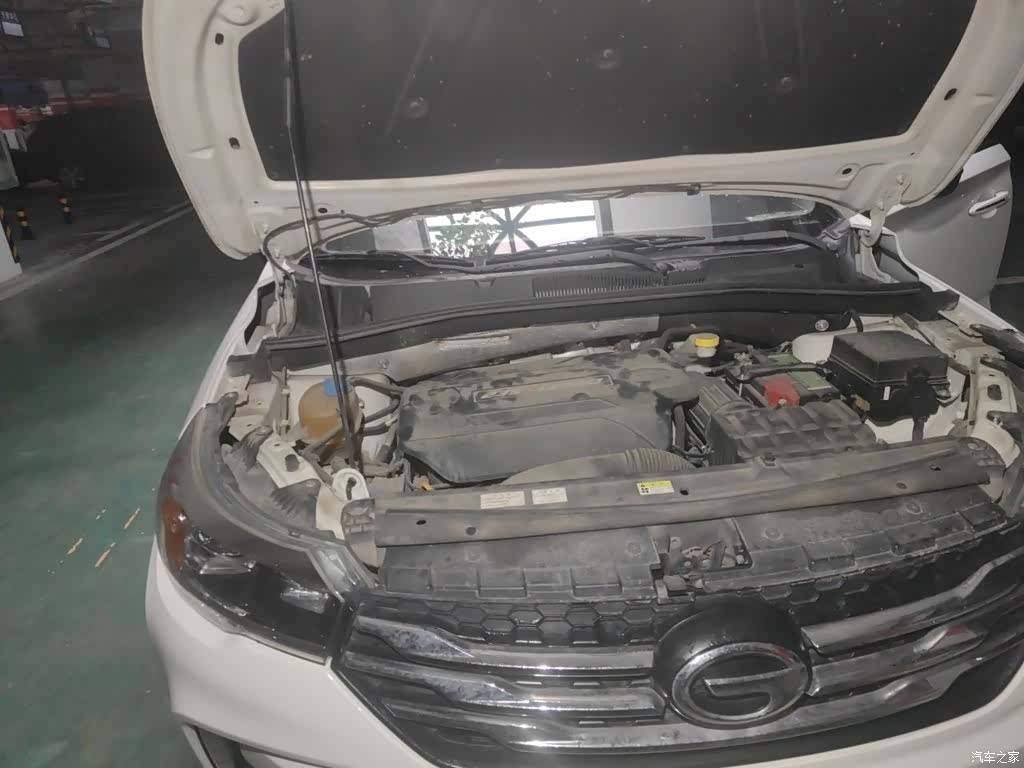 GAC GS4, 2017 21