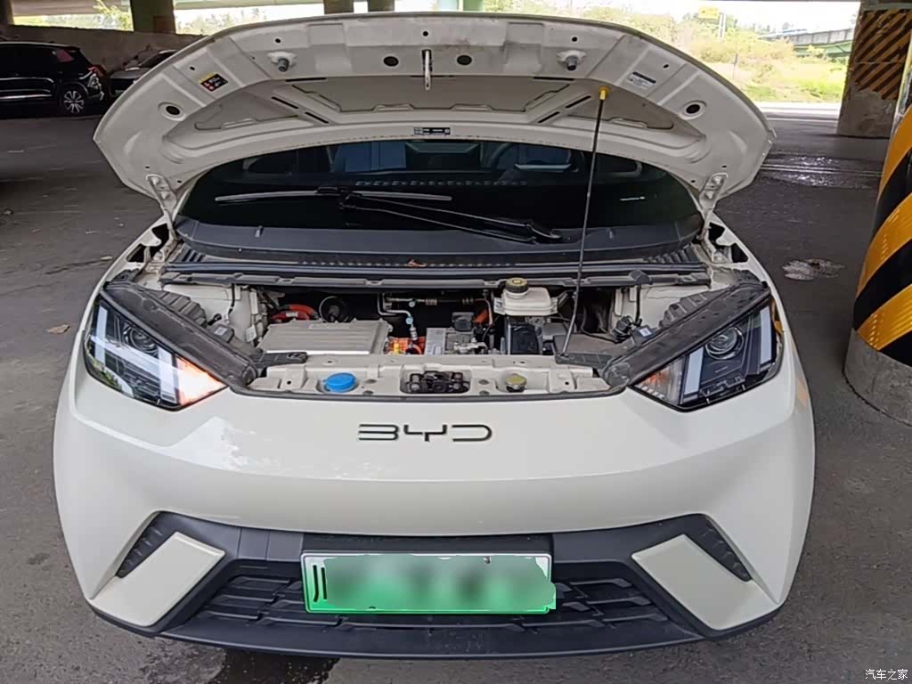 BYD Seagull, 2024 20