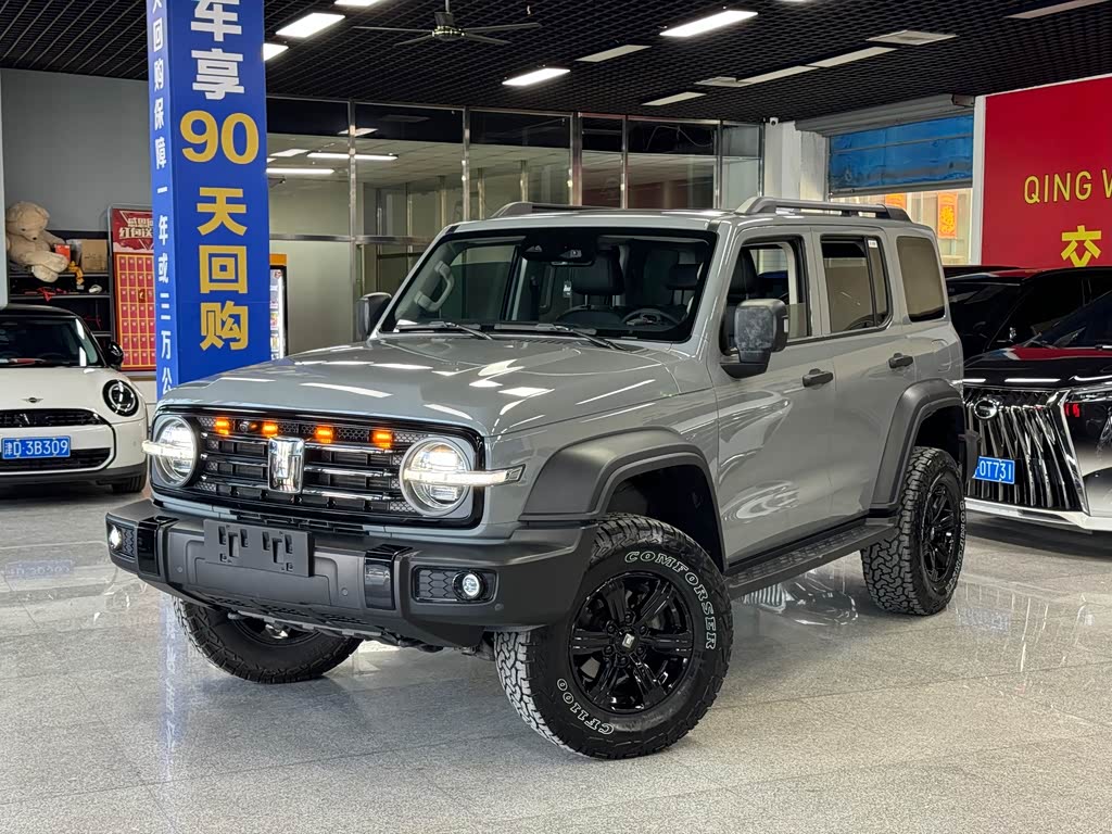 Tank 300