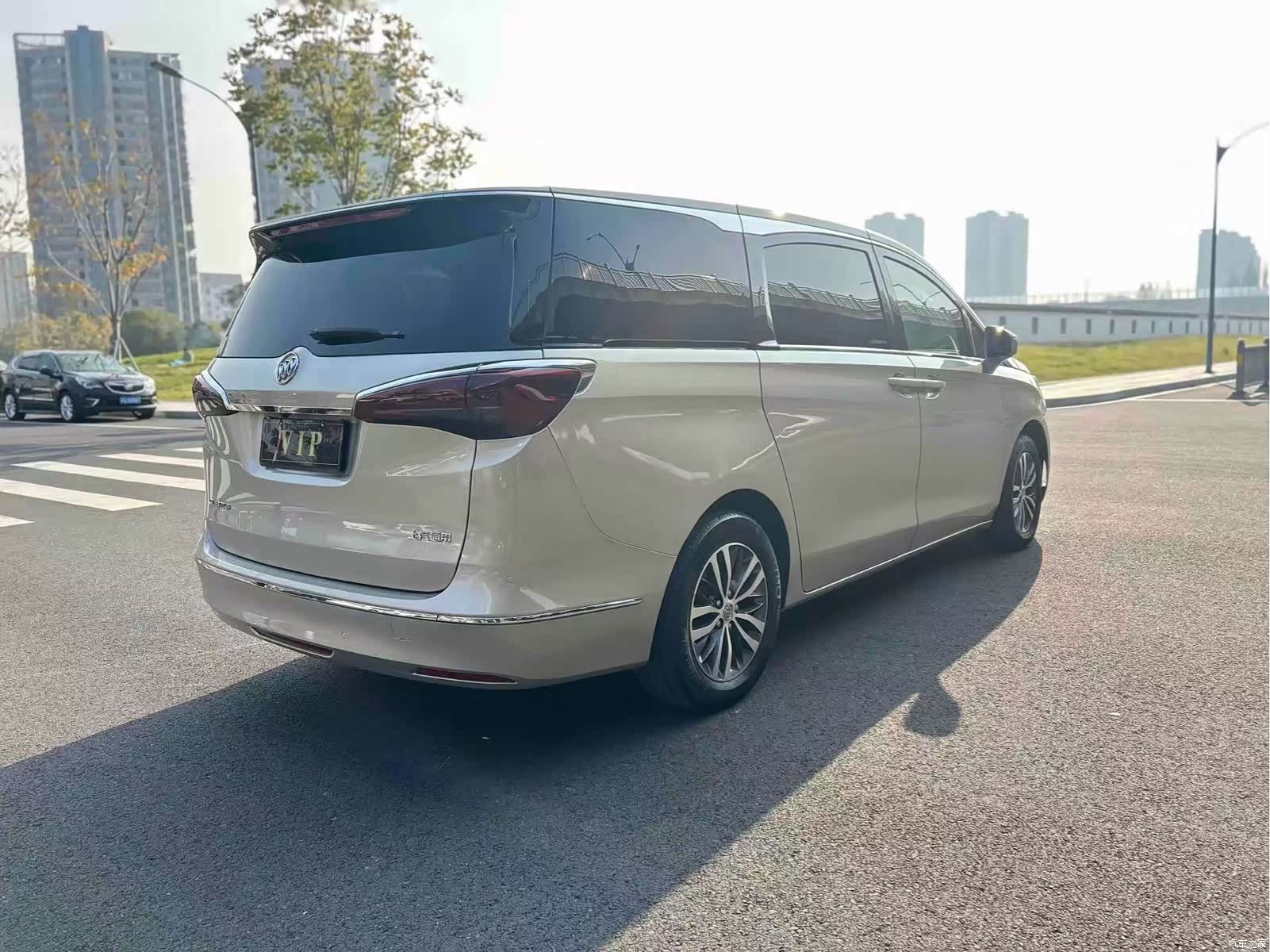 Buick GL8, 2019 9