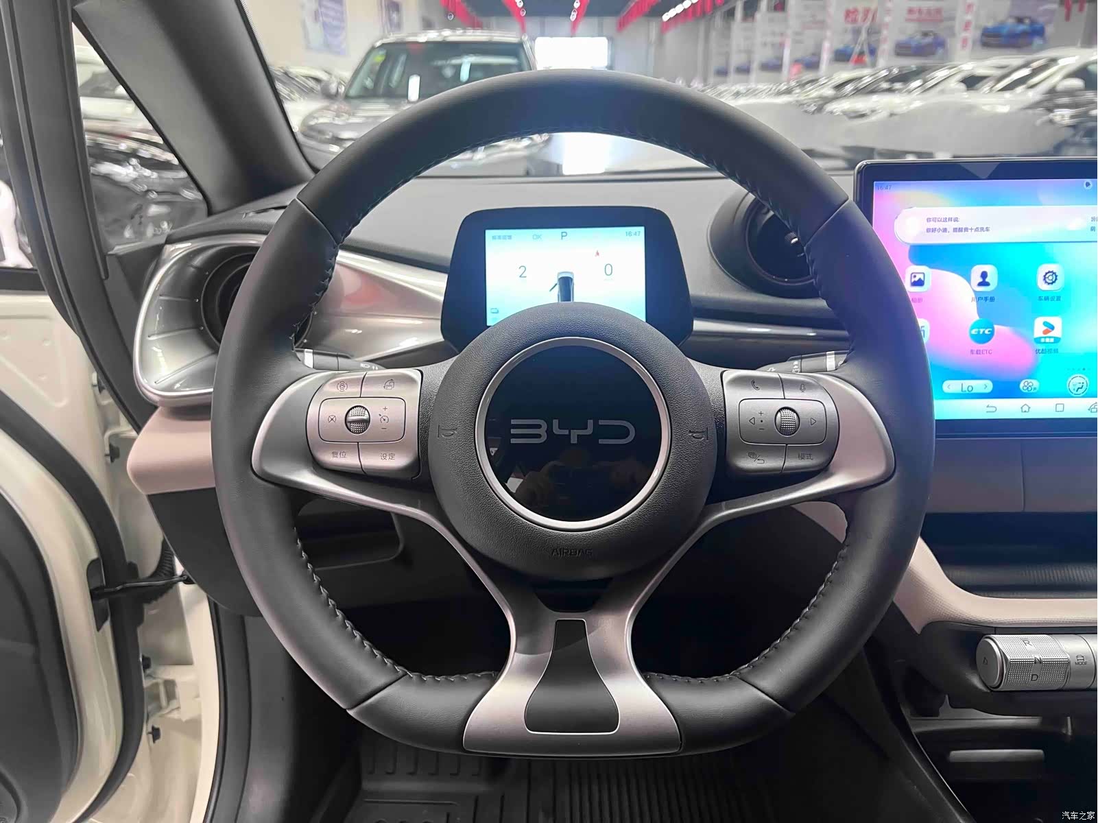 BYD Dolphin, 2026 8