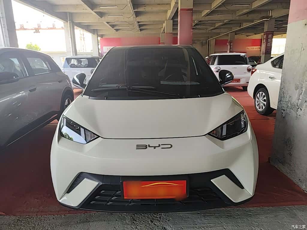 BYD Seagull, 2024 3