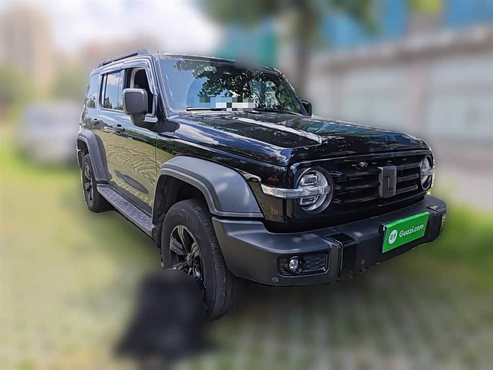 Tank 300