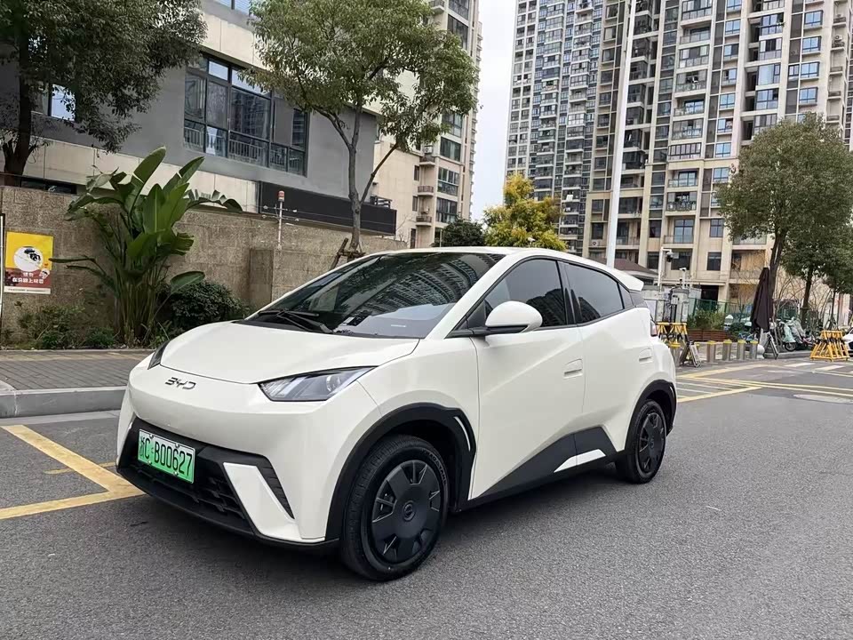 BYD Seagull BYD Seagull