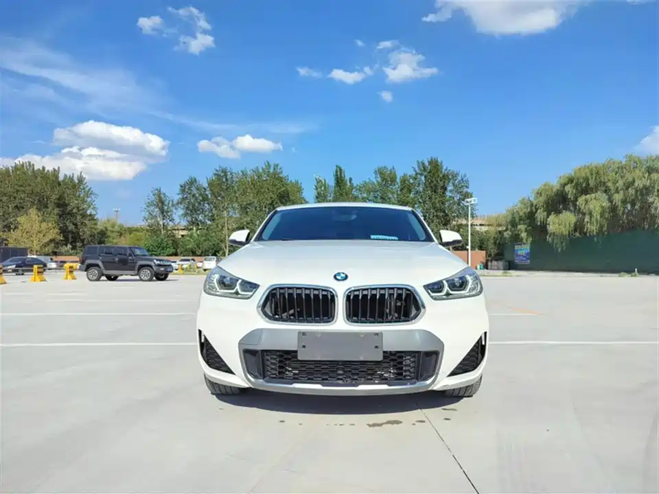 BMW X2