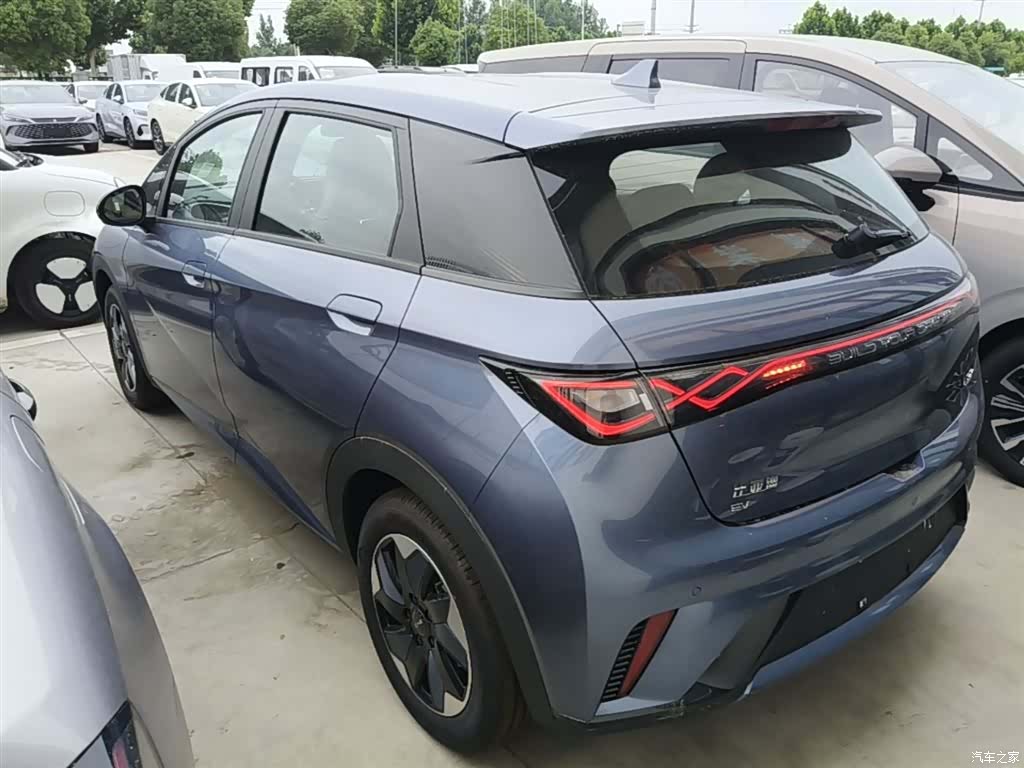 BYD Dolphin, 2026 все фото