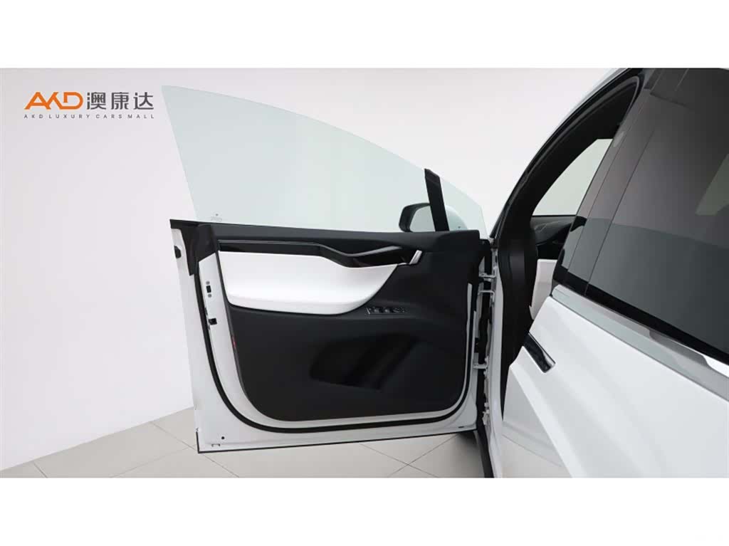 Tesla Model X, 2020 10
