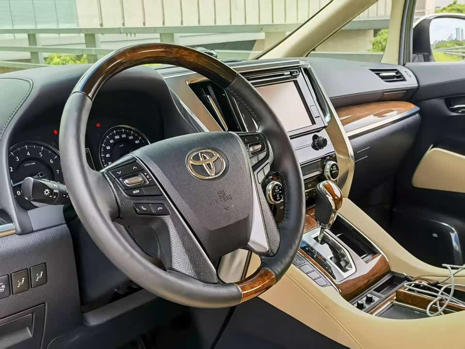Toyota Elfa