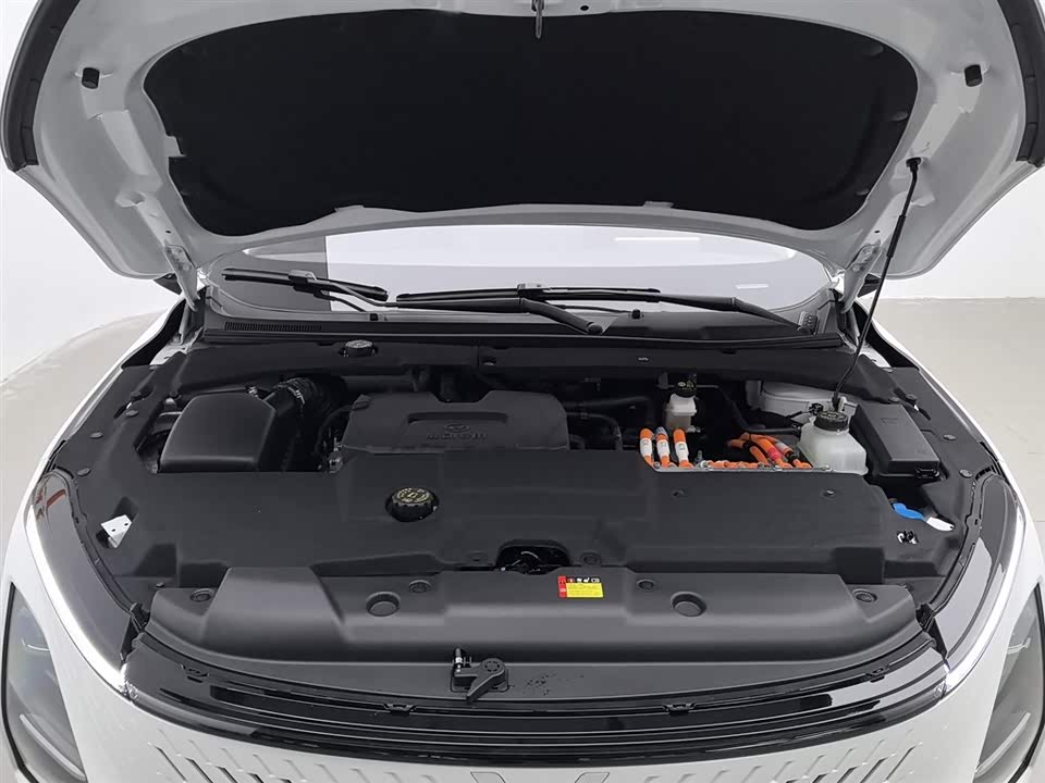 Wuling Wuling Starlight