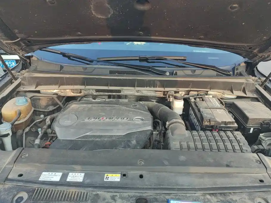 Trumpchi Trumpchi GS8