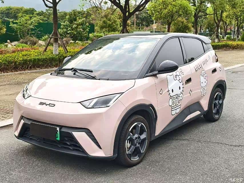 BYD Seagull, 2024 1