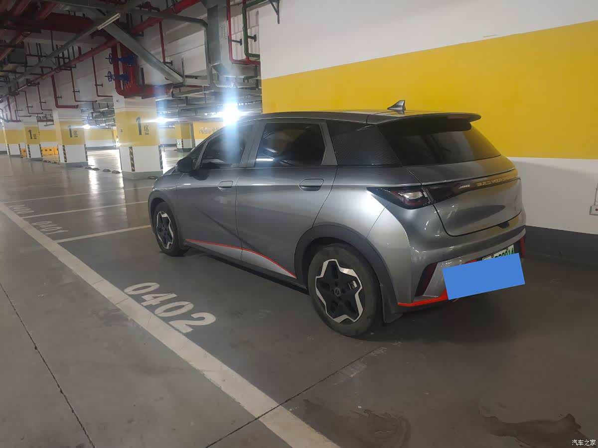 BYD Dolphin, 2022 3