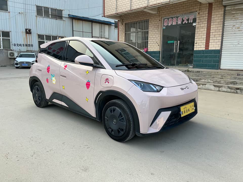 BYD Seagull