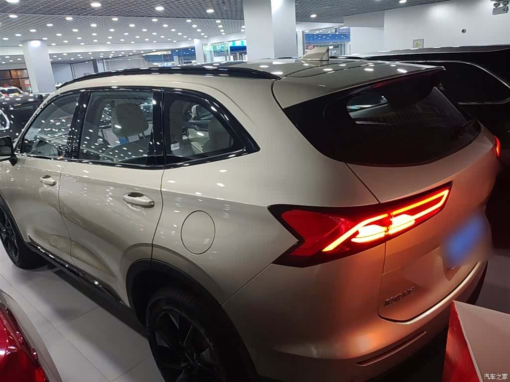 Haval H6, 2024 все фото
