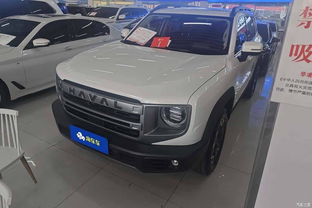 Haval Big Dog, 2024 1