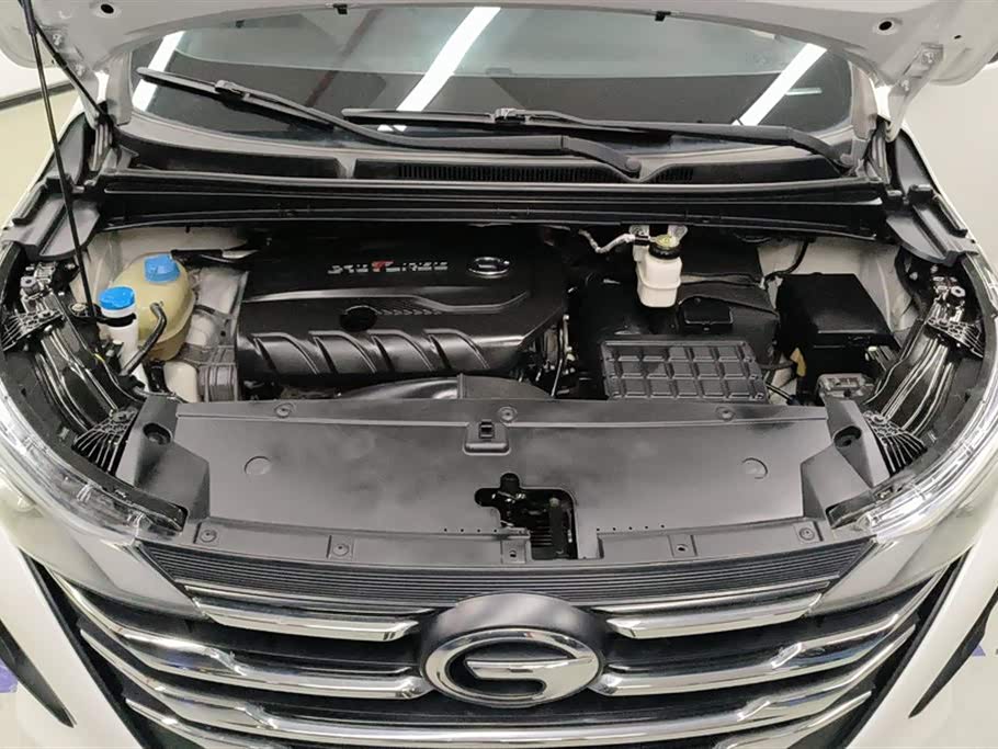 Trumpchi Trumpchi M6