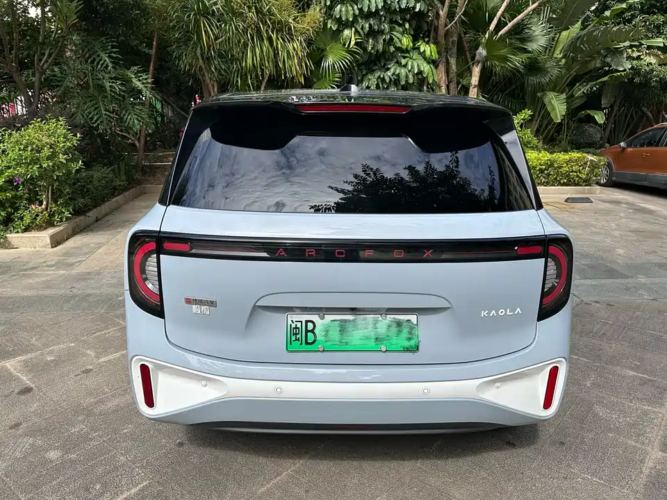 ARCFOX Polar fox koala