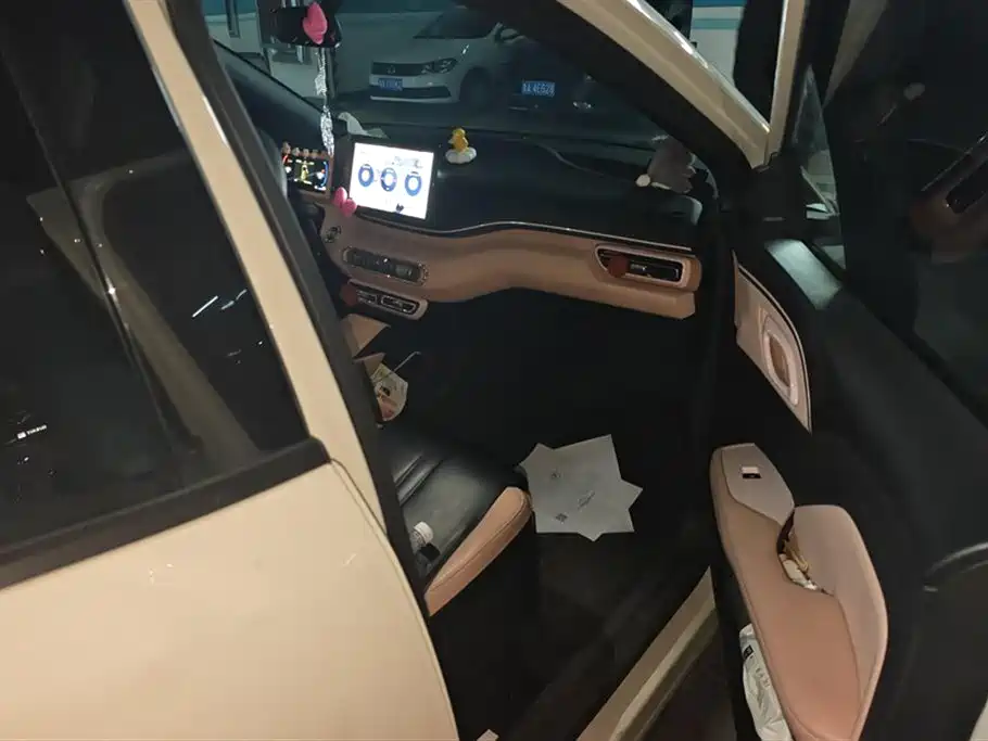 BYD Seagull