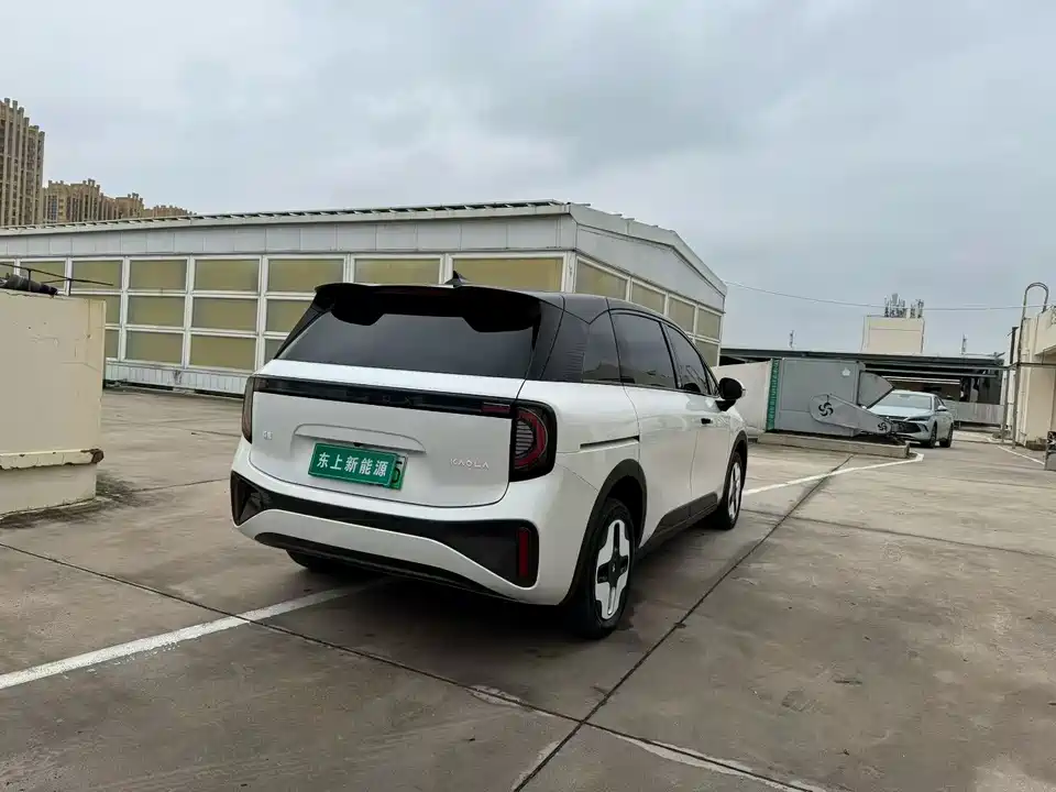 ARCFOX Polar fox koala