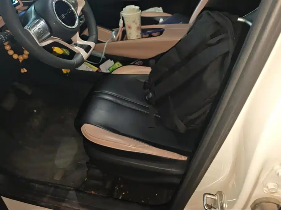 BYD Seagull