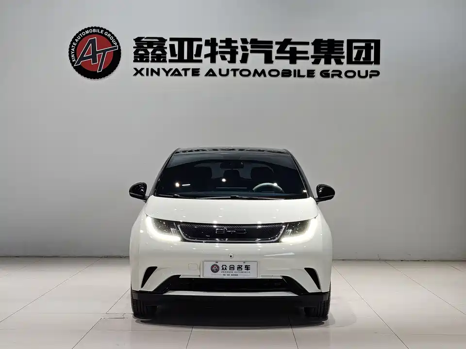 BYD dolphin