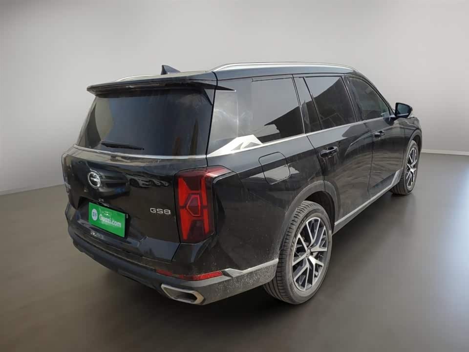 Trumpchi Trumpchi GS8