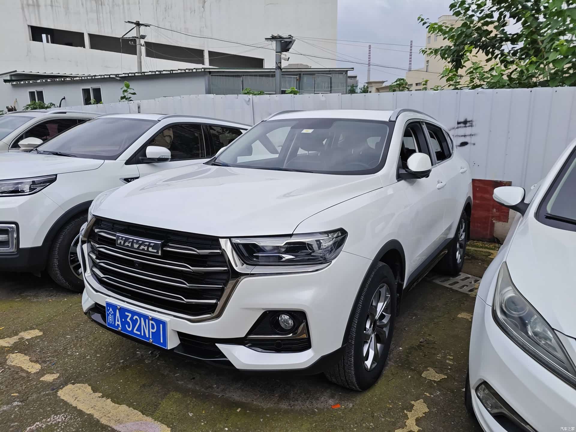 Haval H6, 2022 1