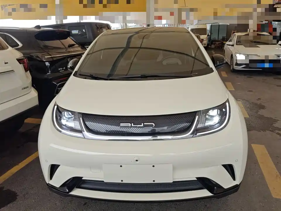 BYD dolphin