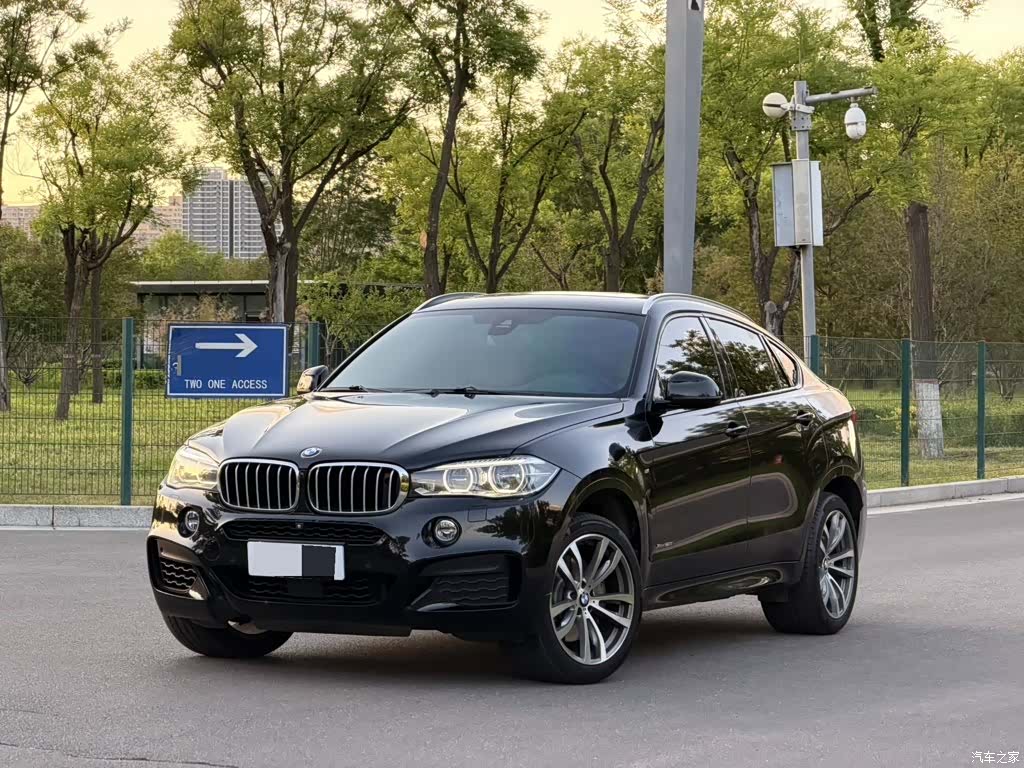 BMW X6, 2017 1