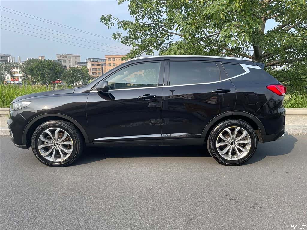 WEY VV6, 2019 19