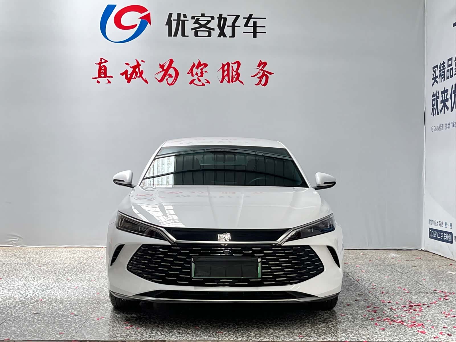 BYD Qin, 2025 2