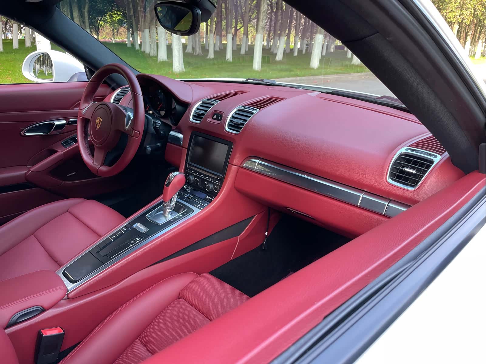 Porsche Cayman, 2015 28