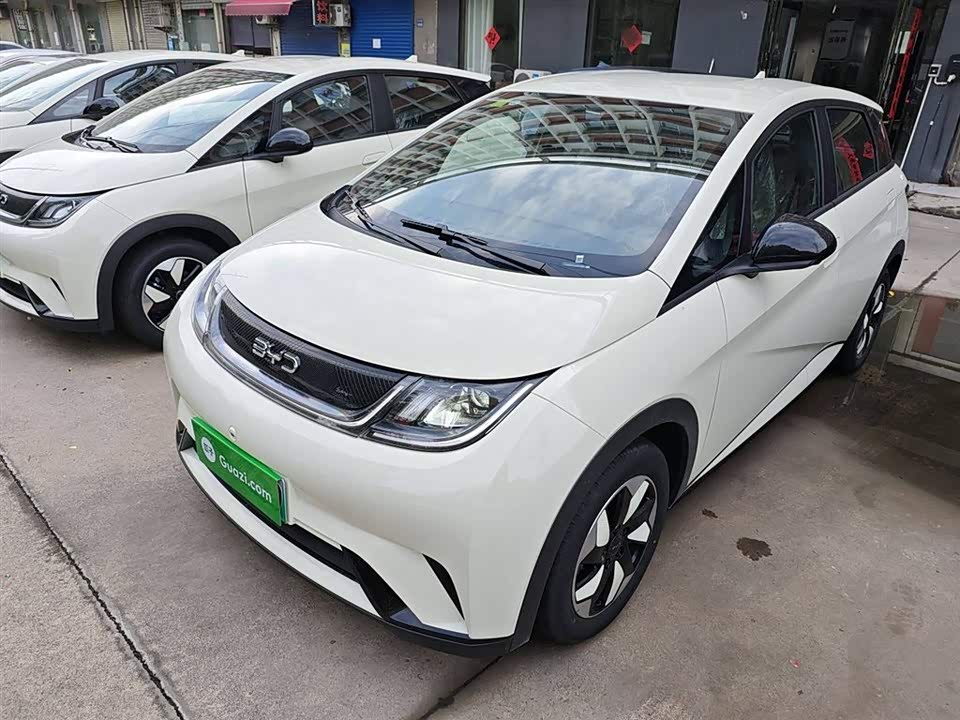 BYD dolphin