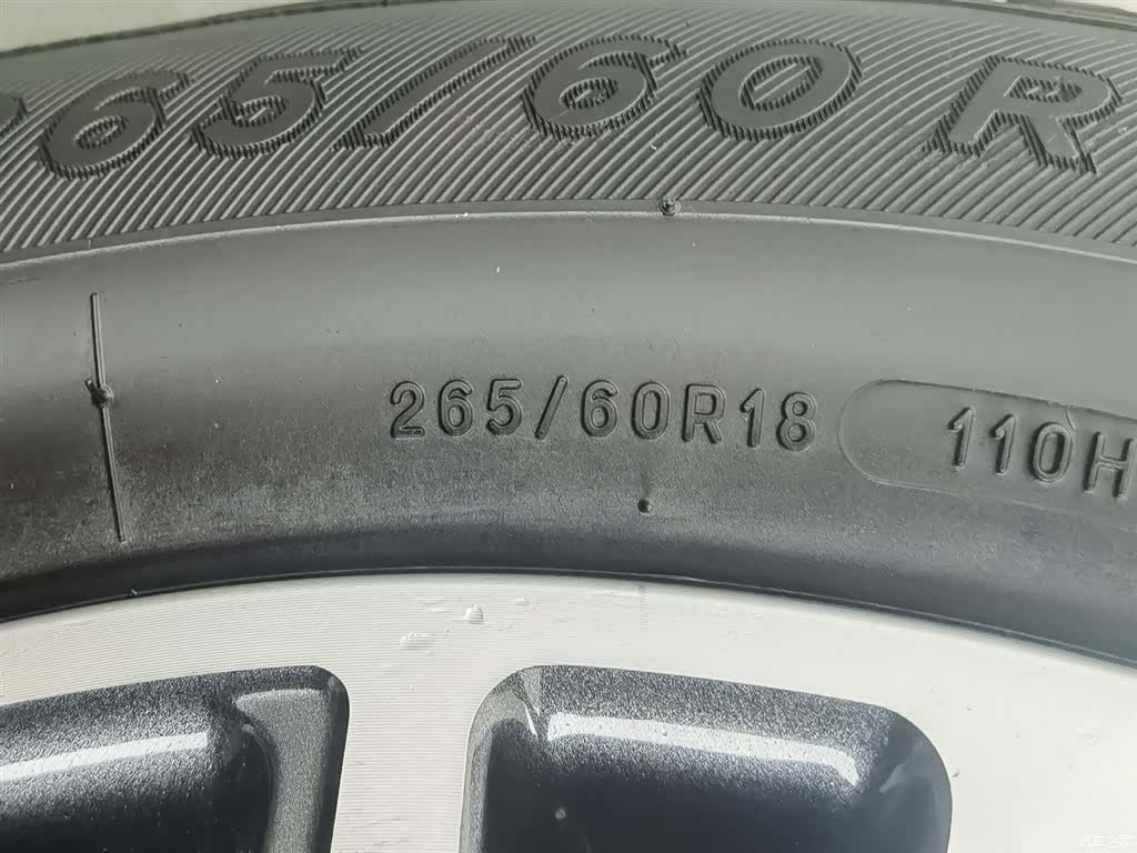 Tank 300, 2022 24