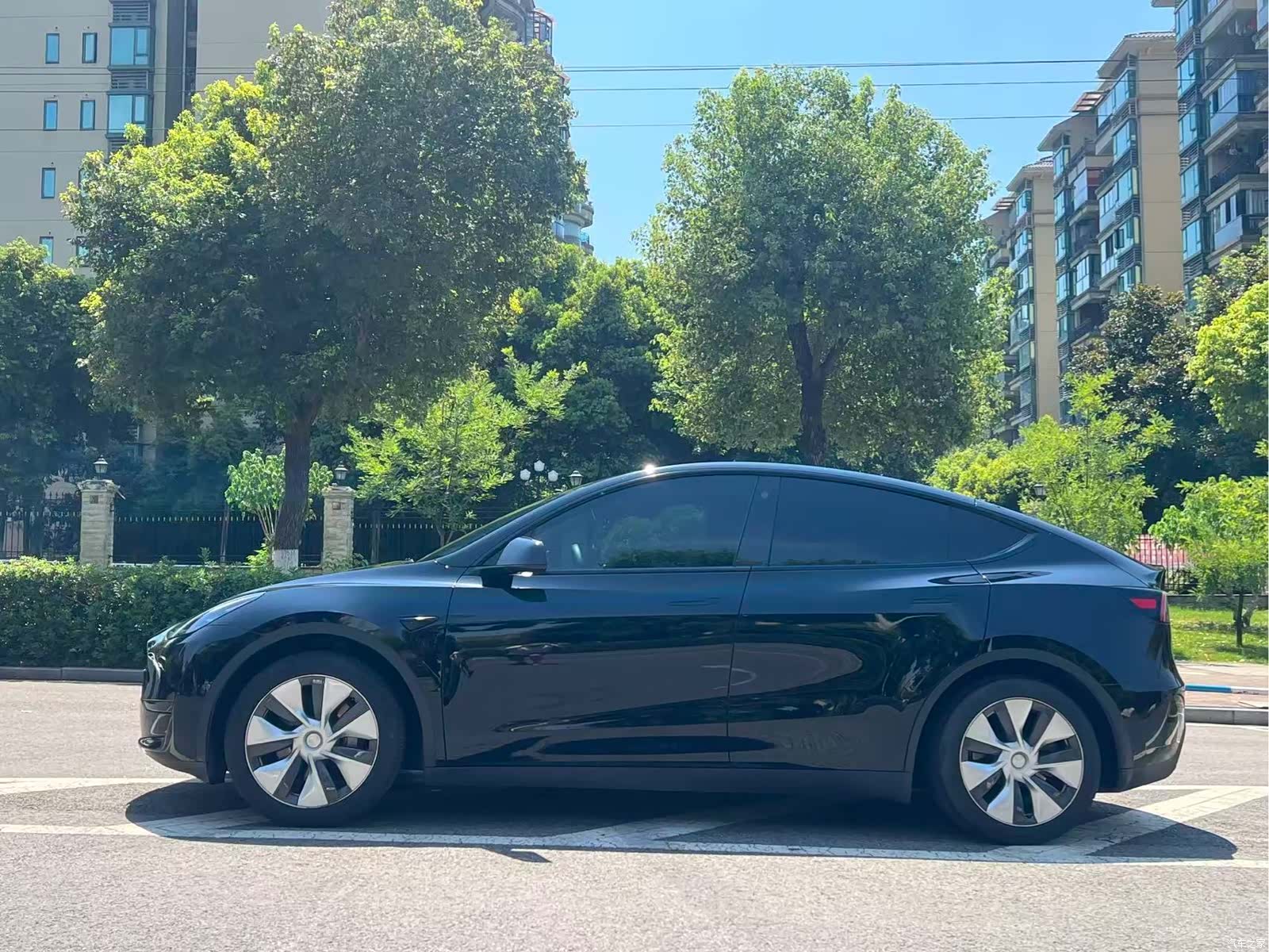 Tesla Model Y, 2023 все фото
