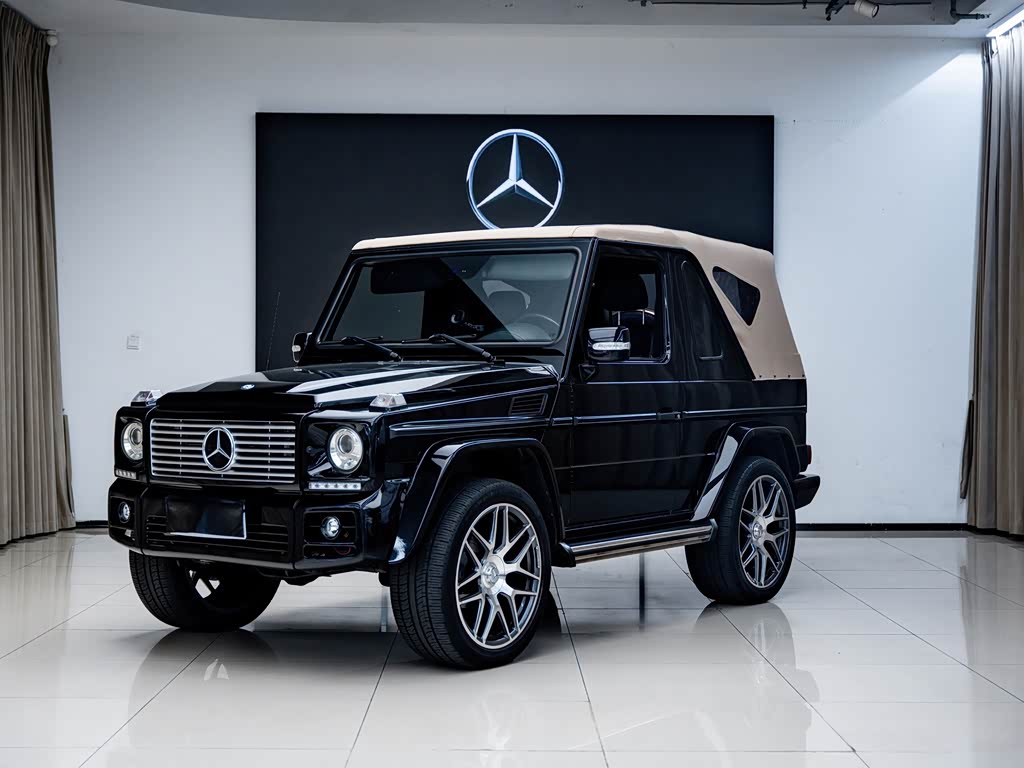 Mercedes-Benz G-Class G 2010 G 350