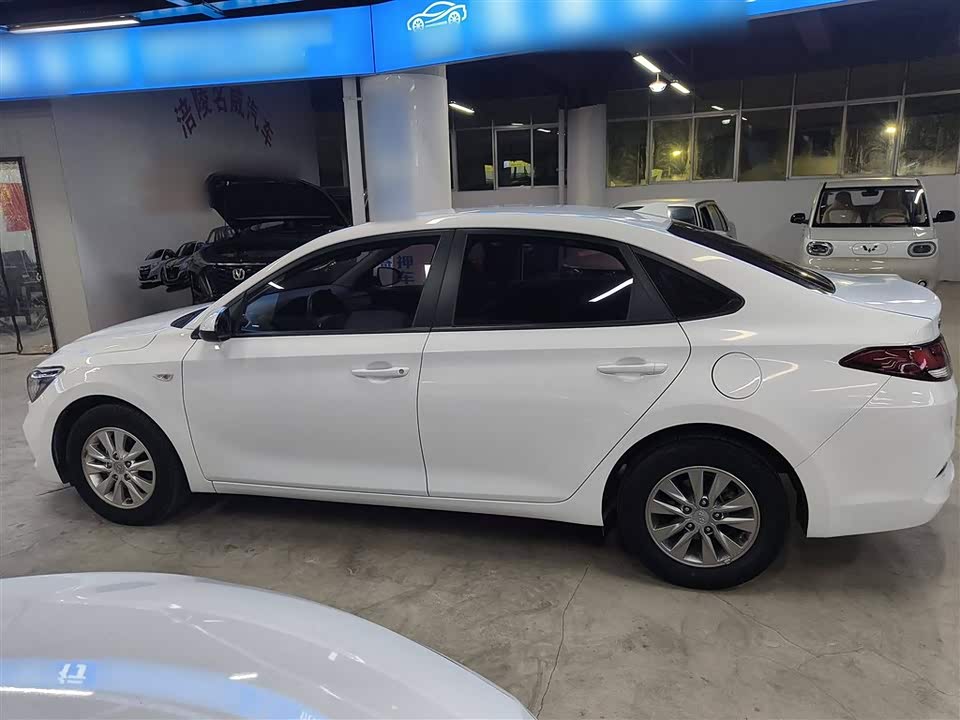 Hyundai Yuedong