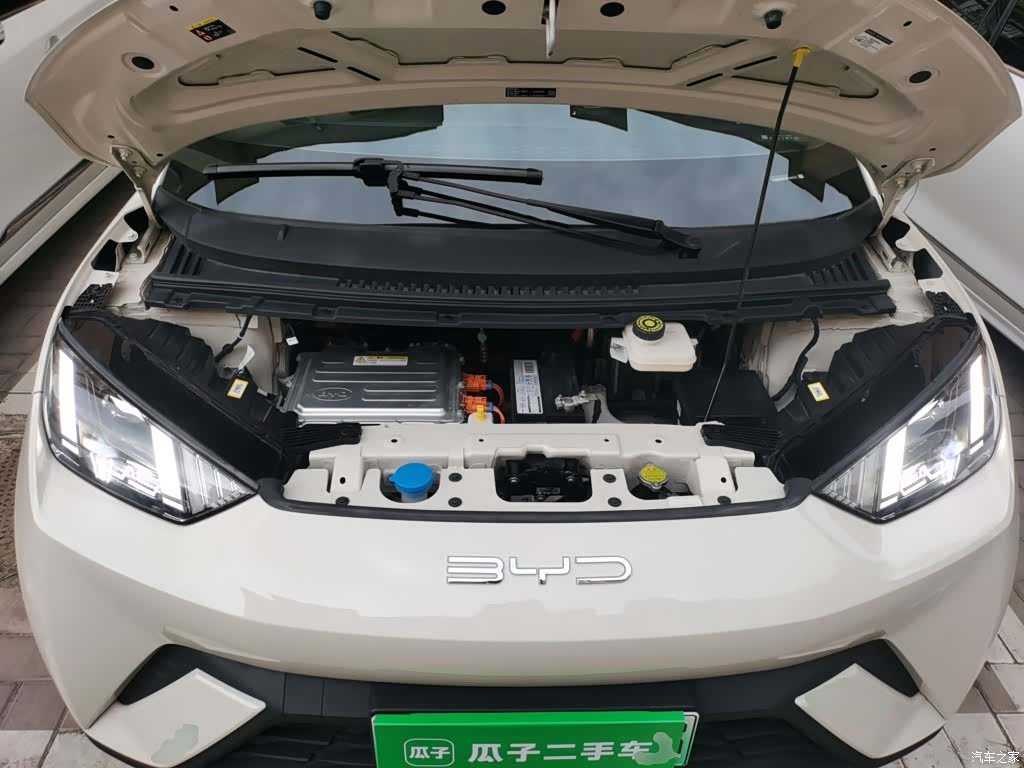 BYD Seagull, 2023 11