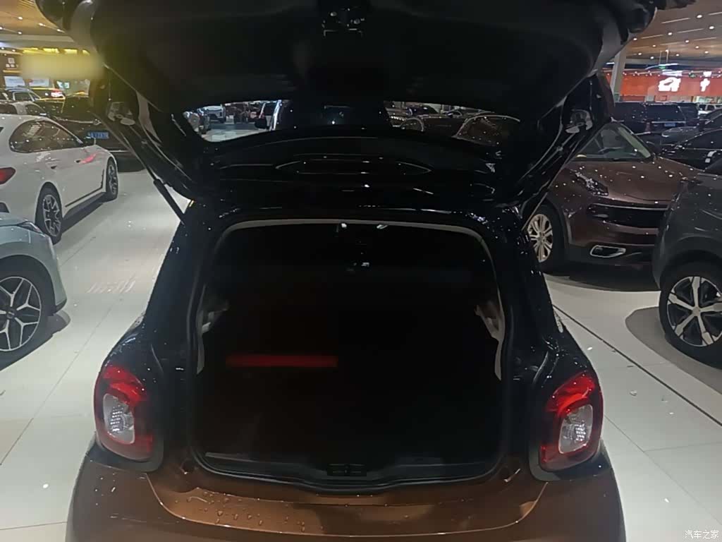 Smart Forfour, 2017 19